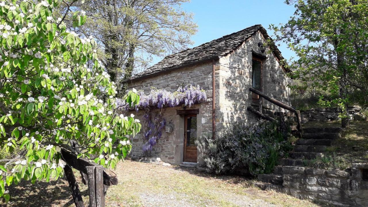 Ca' D'Alfieri Villa Bardi Eksteriør billede